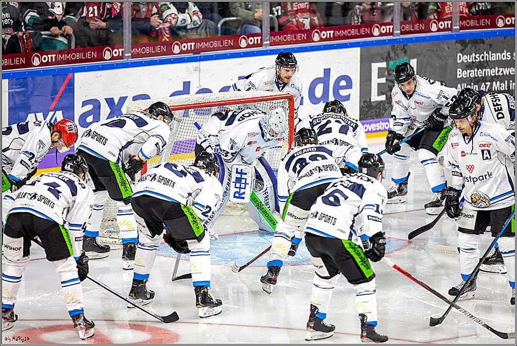 DEL; Koelner Haie - Straubing Tigers; Koeln, 17.11.2019